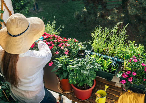 growing a mini balcony garden that's easy to replicate