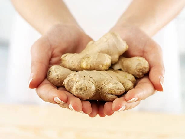 Modballs: Exploring the Uses & Health Benefits of Ginger Root