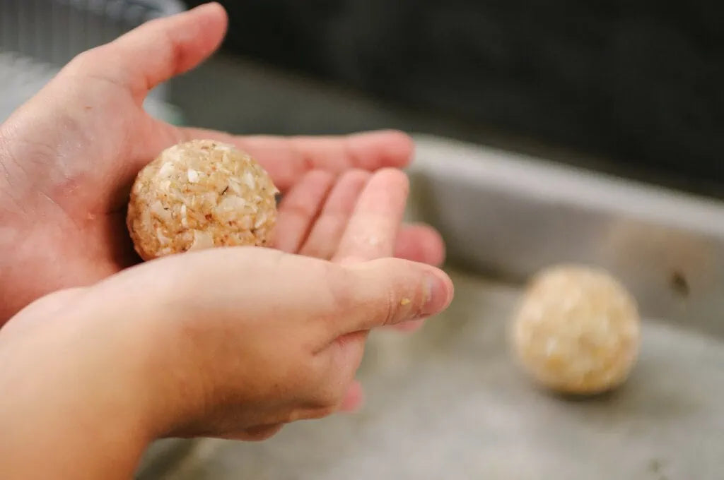 ModBalls: Quick & Easy Vegan Protein Balls: DIY or Buy