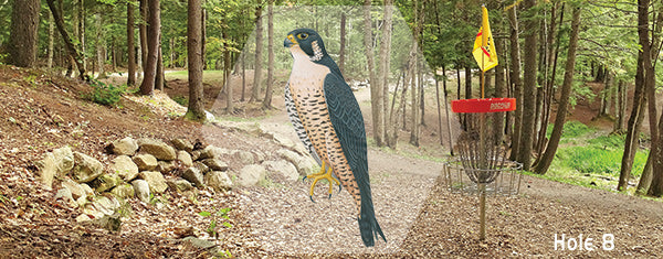 sabattus disc golf falcon course header