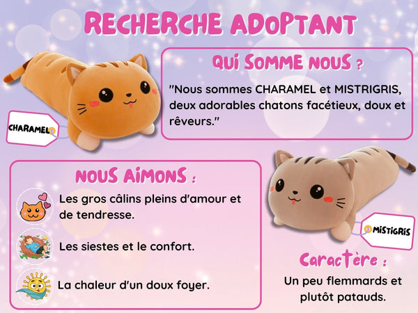 Peluche Kawaii Gros Coussin Chat