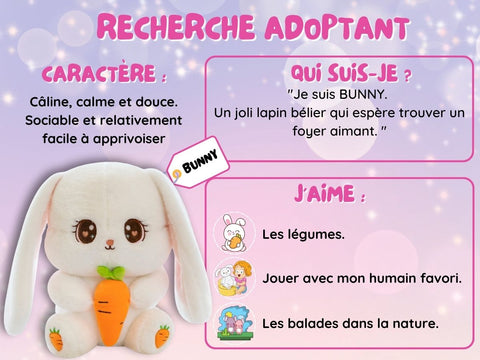 Peluche Lapin Kawaii – Peluche Suteki