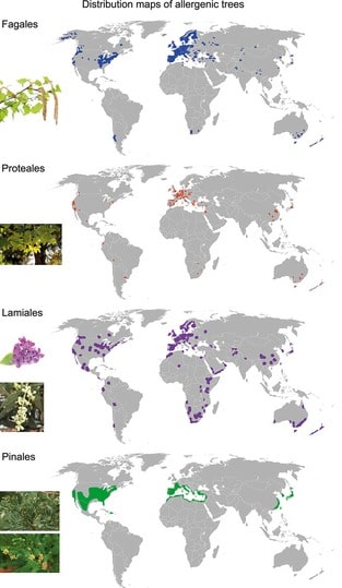 tree pollen is the most common allergen that can begin as early as January