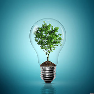 What Does Energy Efficiency Really Mean? Ways to reduce your carbon footprint