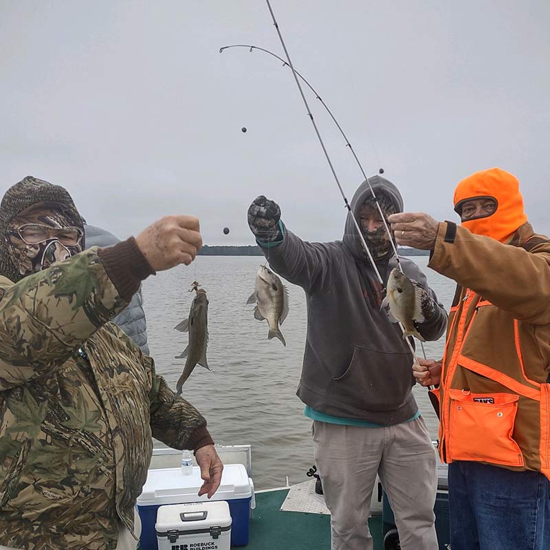 Santee Cooper (Lake Marion & Lake Moultrie) Fishing Report ...