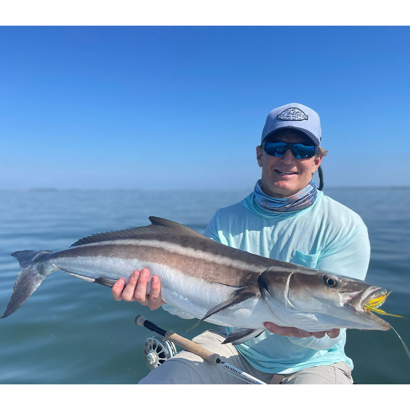 The tail end of the cobia "run" caught with Captain Tuck Scott this week