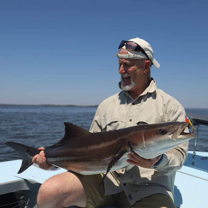 A nice cobia landed with Captain Tuck Scott 