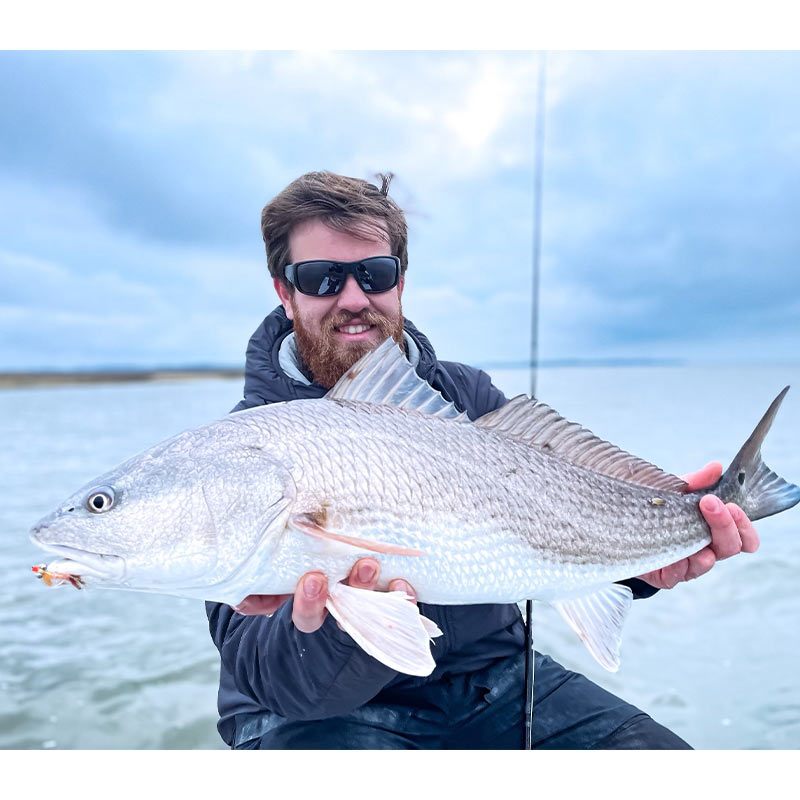 A beautiful redfish caught this week with Captain Tuck Scott