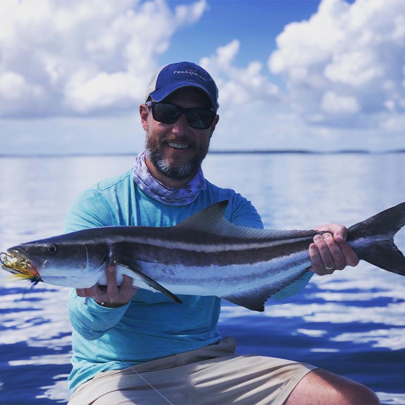 A beautiful cobia caught this week with Captain Tuck Scott