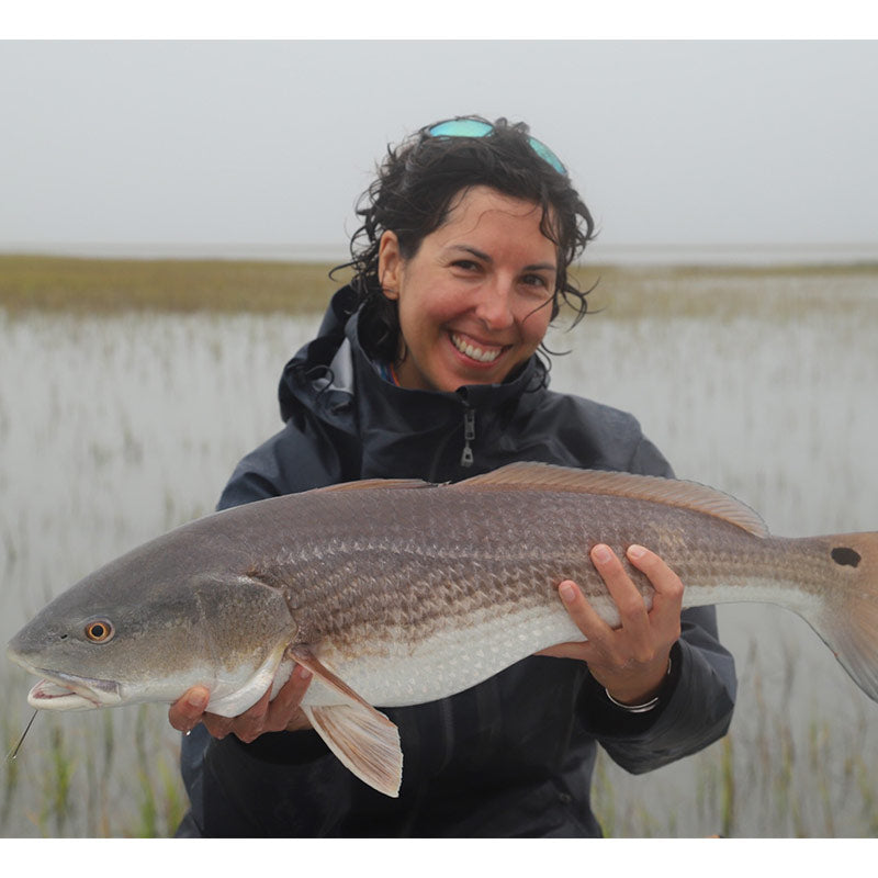 A nice redfish caught up in the short grass this week with Captain Tuck Scott