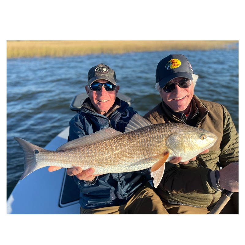 An oversized redfish caught this week with Captain Tuck Scott 