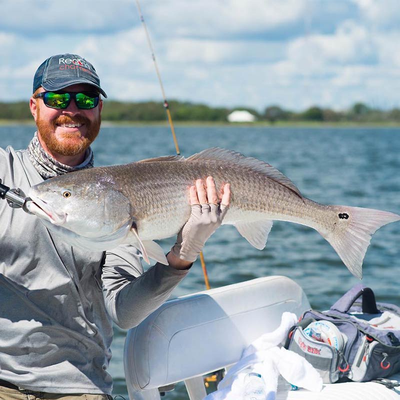 A nice redfish caught recently sight-fishing with Redfin Charters