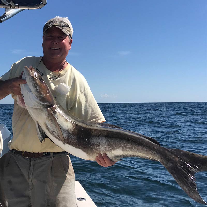Captain Rob Bennett with a nice cobia caught yesterday