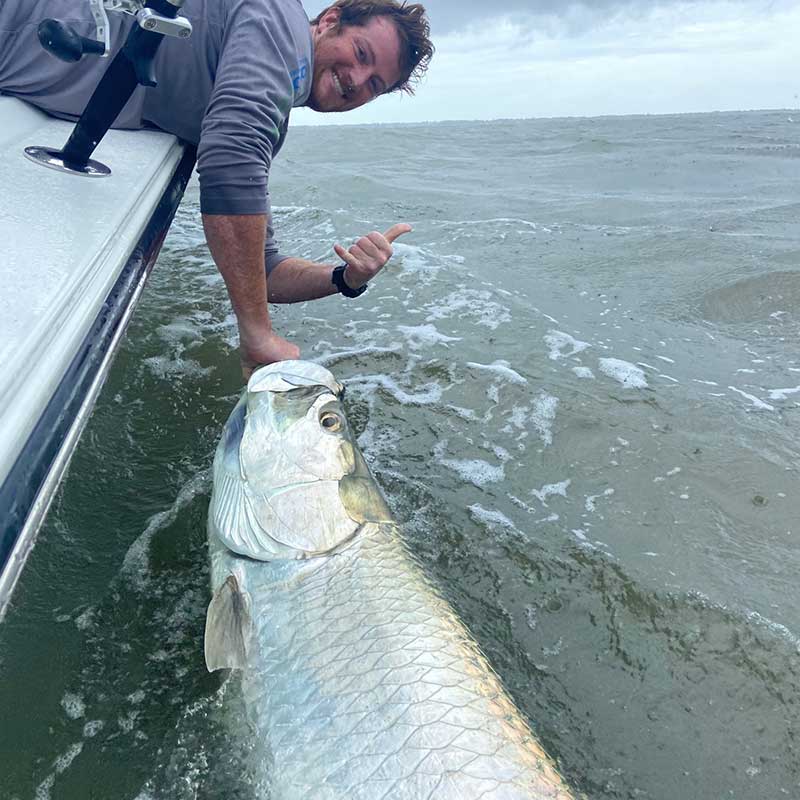 A silver king brought boatside with Captain Rob Bennett