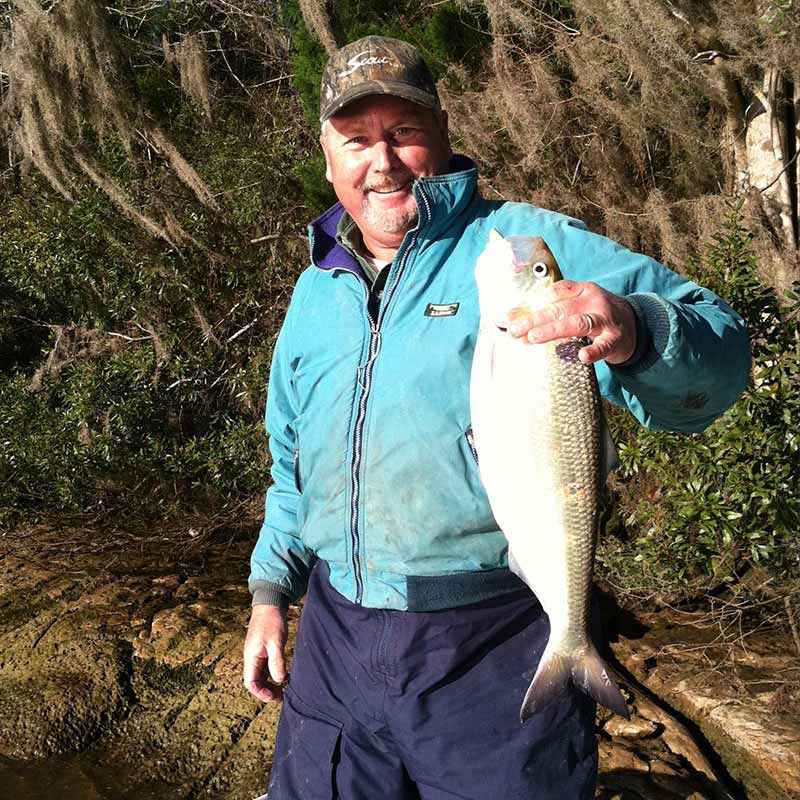 Captain Rob Bennett with a big shad from the Cooper River Tailrace