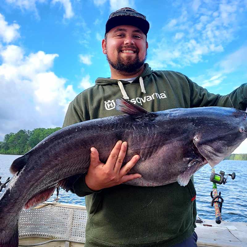 A fat blue caught this week with Captain Chris Simpson