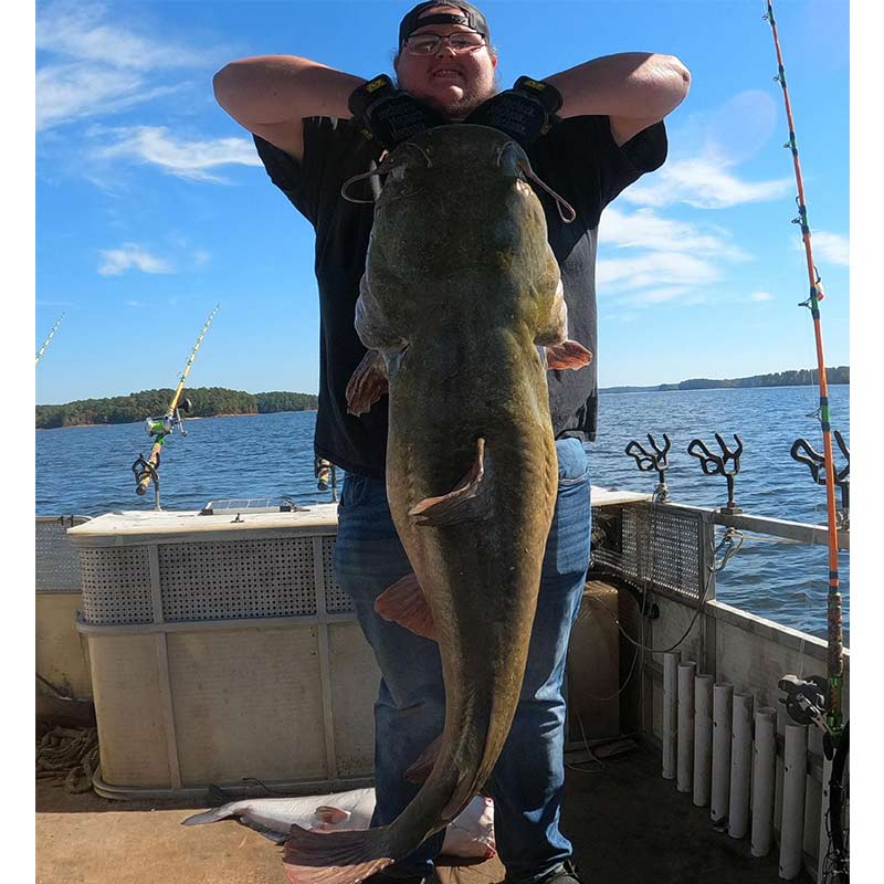 AHQ INSIDER Clarks Hill (GA/SC) 2022 Week 48 Fishing Report – Updated -  Angler's Headquarters