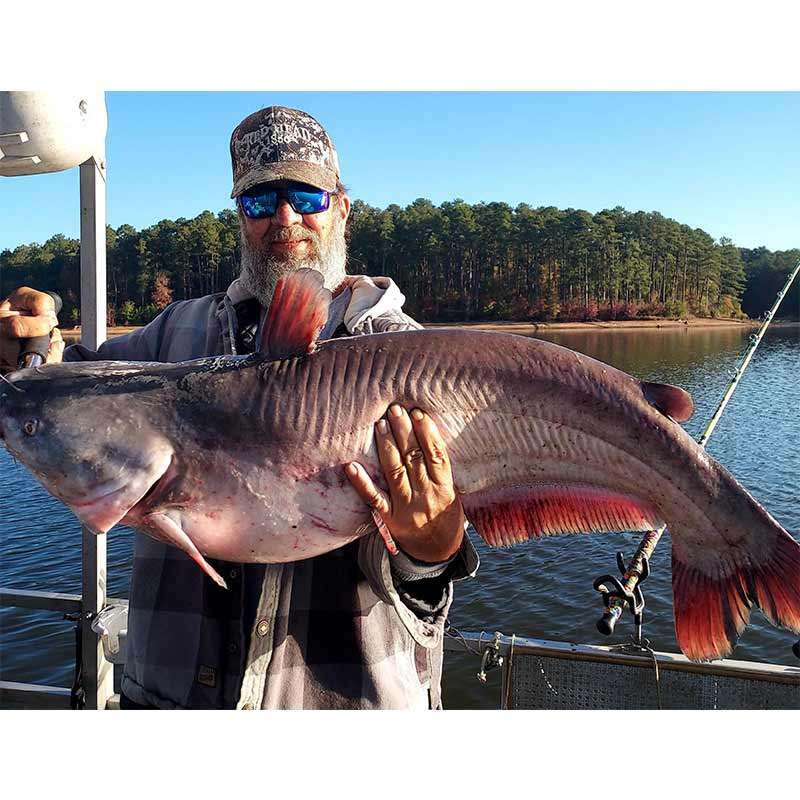 One of many monsters caught this week with Captain Chris Simpson