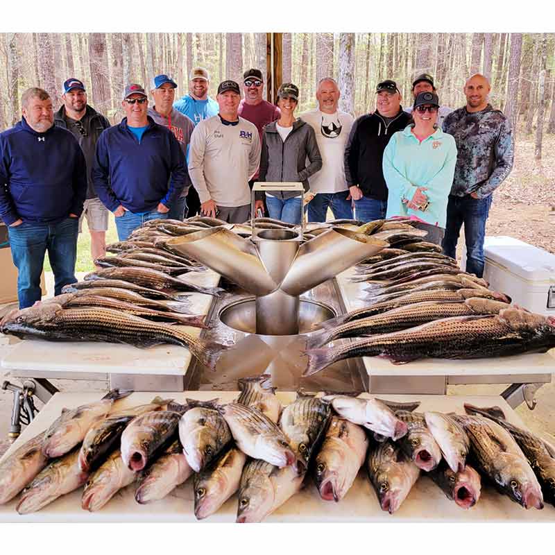 A massive haul this week with Little River Guide Service