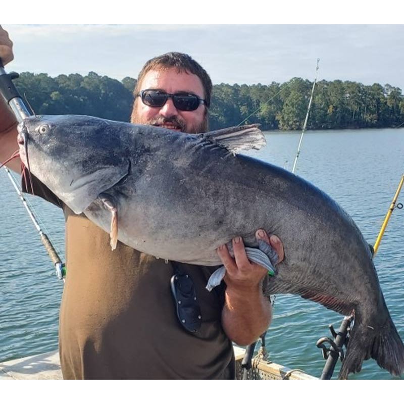 Captain Chris Simpson with a nice Clarks Hill blue caught recently