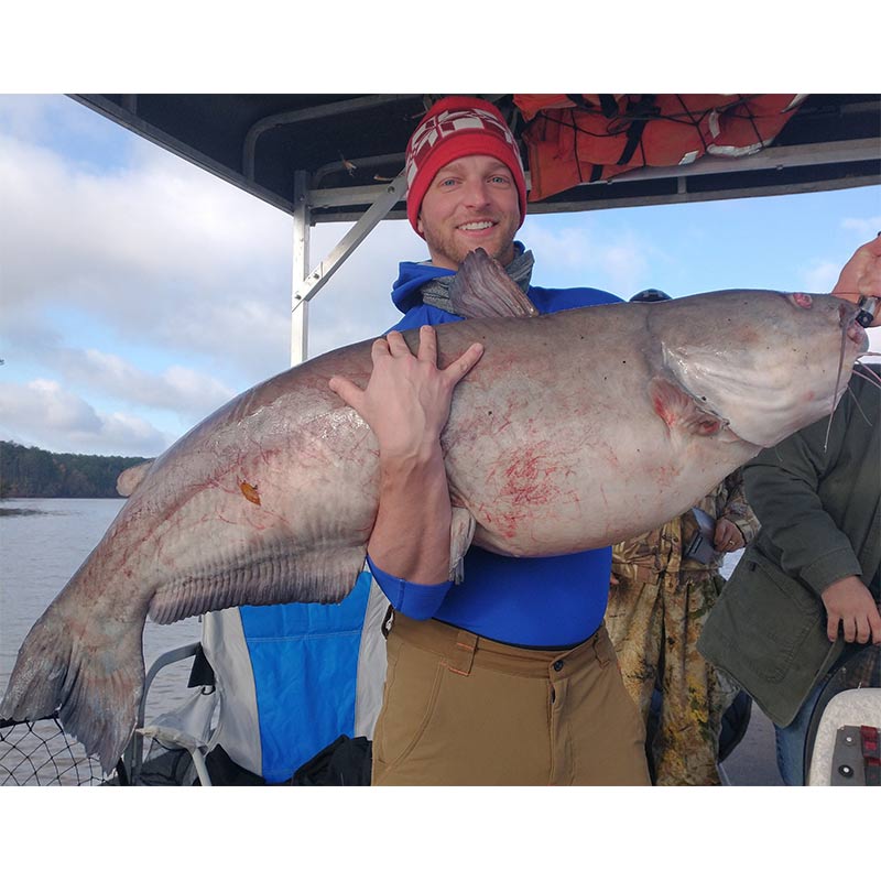 A 65-pound beast caught yesterday with Captain Chris Simpson