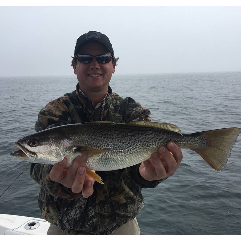 A 4-pound weakfish caught recently with Captain Ron Davis