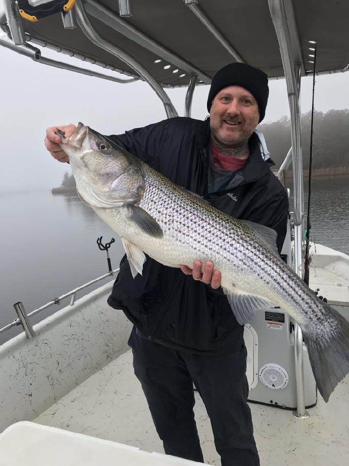 A nice striper caught this week with Guide Daniel Skipper