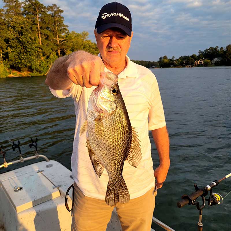 A good Greenwood crappie caught this week with Guide Daniel Skipper