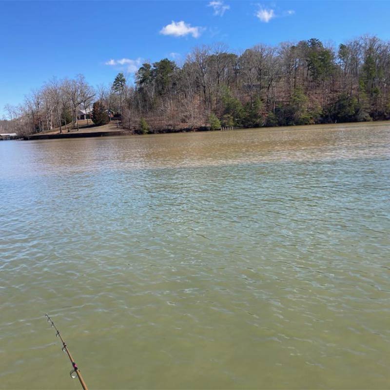 This morning on Lake Hartwell