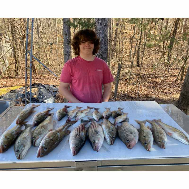 Another good sign - a mixed bag caught with Captain Bill on minnows in 30 feet