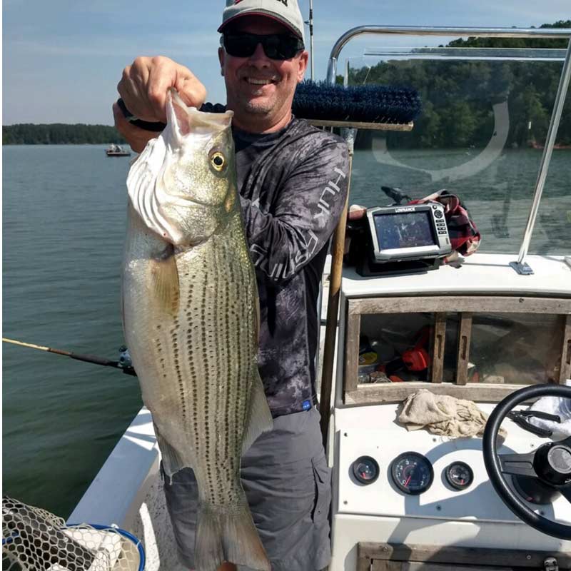 A 9-pound hybrid caught this week with Chip Hamilton