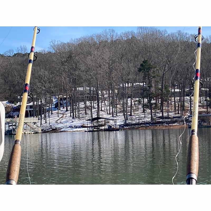 This week on Lake Hartwell - photo courtesy of Captain Bill Plumley