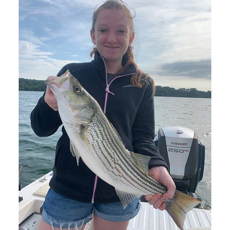 A pretty striper caught this week with Guide Chip Hamilton