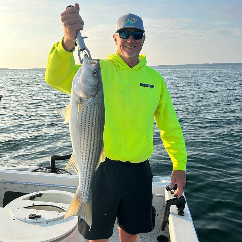 A nice striper caught with Captain Chip Hamilton