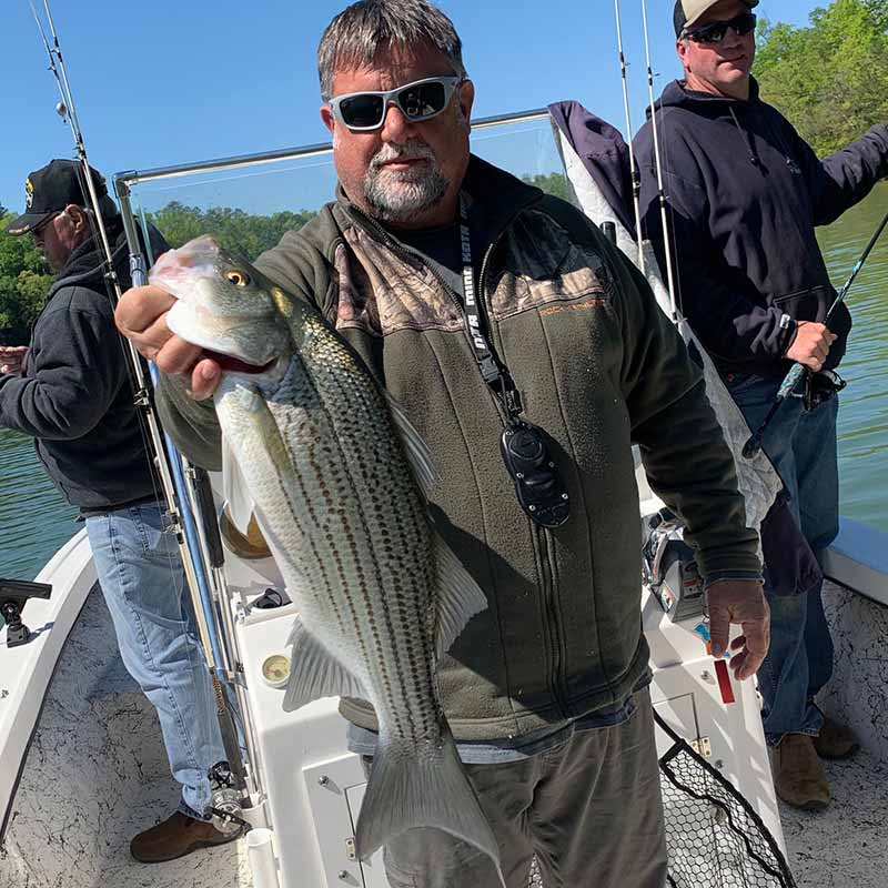 Chip Hamilton with a nice Hartwell hybrid 