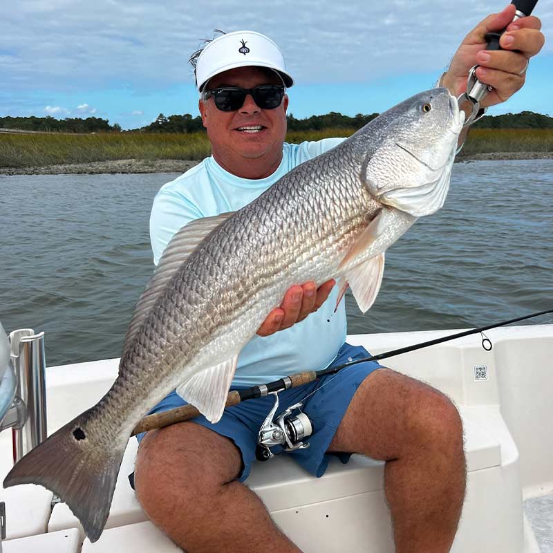 Yesterday afternoon on cut mullet with Captain Trent Malphrus