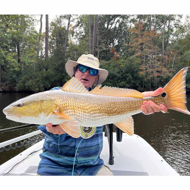 A golden lagoon fish with Captain Trent Malphrus