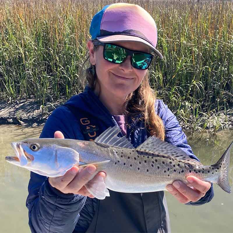 A beautiful trout caught up the creeks this week