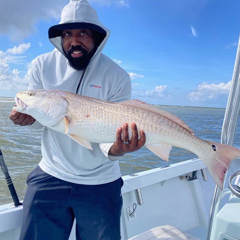 A nice redfish caught with Captain Kai Williams this week