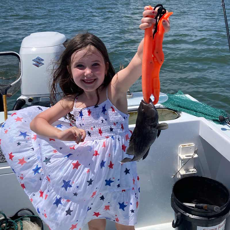 Captain Kai's daughter with a small black sea bass caught inshore this week