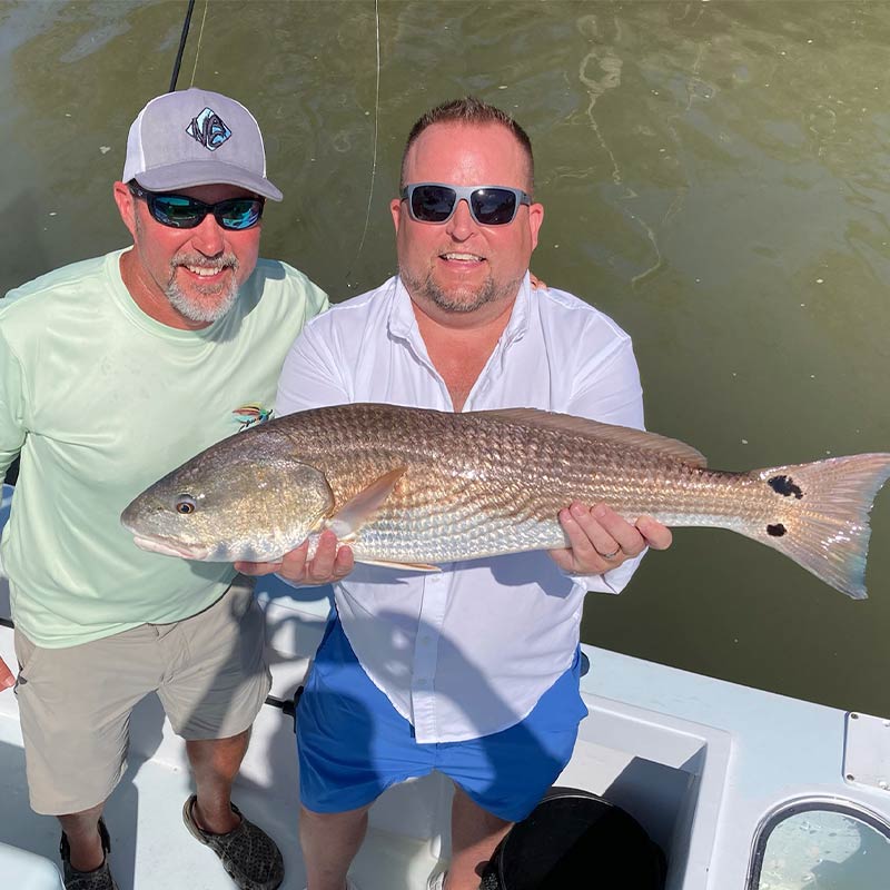 A typical red caught this week with Captain Kai