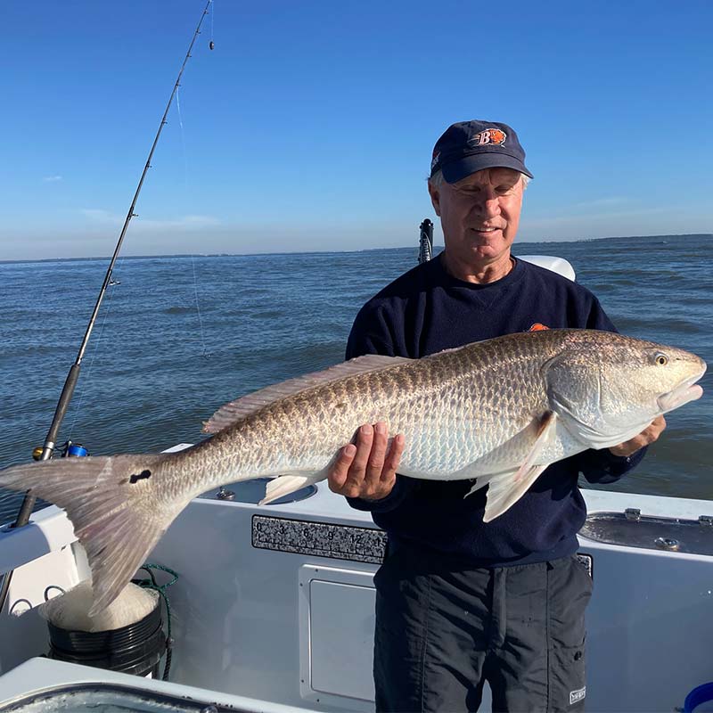 A big one caught last week with Captain Kai Williams 