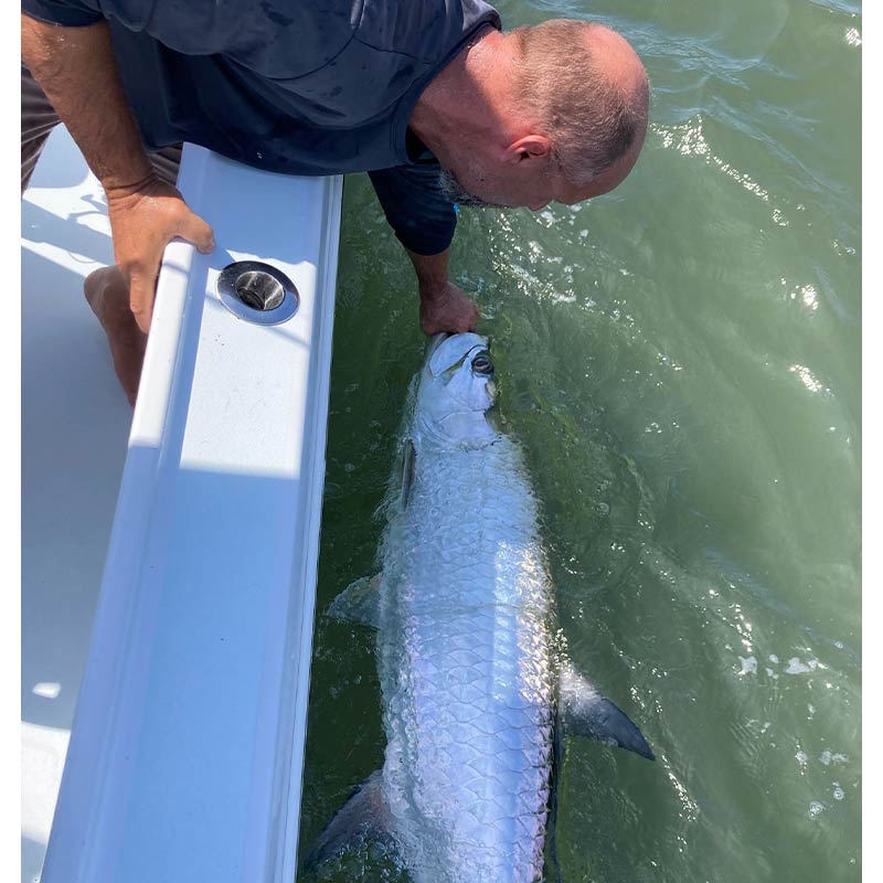 Awesome Adventures Charters brought this fish alongside the boat this week