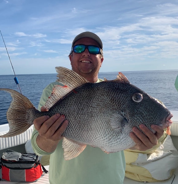 Captain Ron Davis with a big triggerfish caught this week