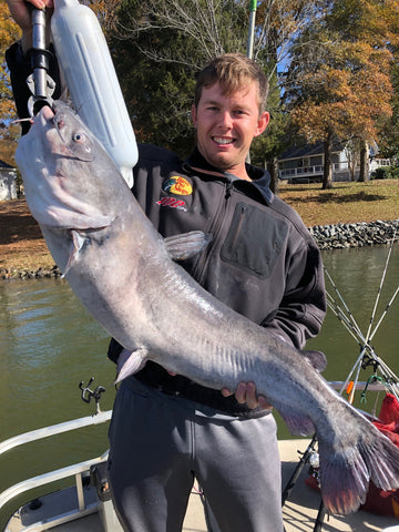 Captain Rodger Taylor guided his son to this nice blue on Lake Wylie last week 