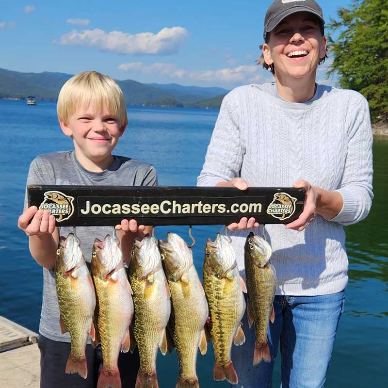 A good haul of chubby spotted bass caught with Jocassee Charters