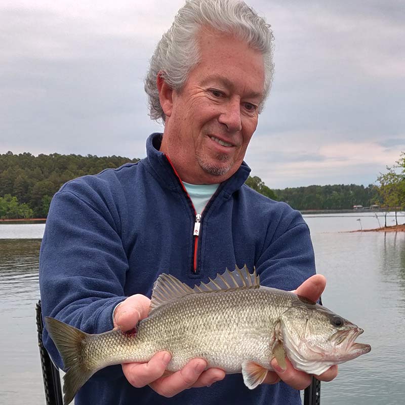 A Keowee bass caught this morning with Charles Townson on a topwater 