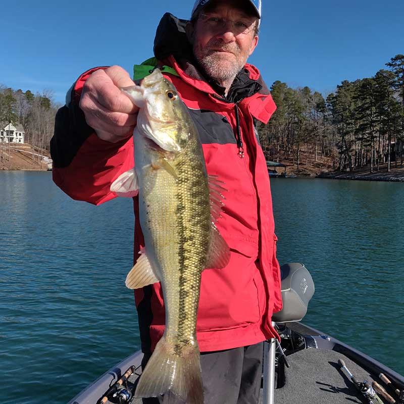A cold weather spotted bass caught in 73 feet yesterday by Todd Anderson with Guide Charles Townson