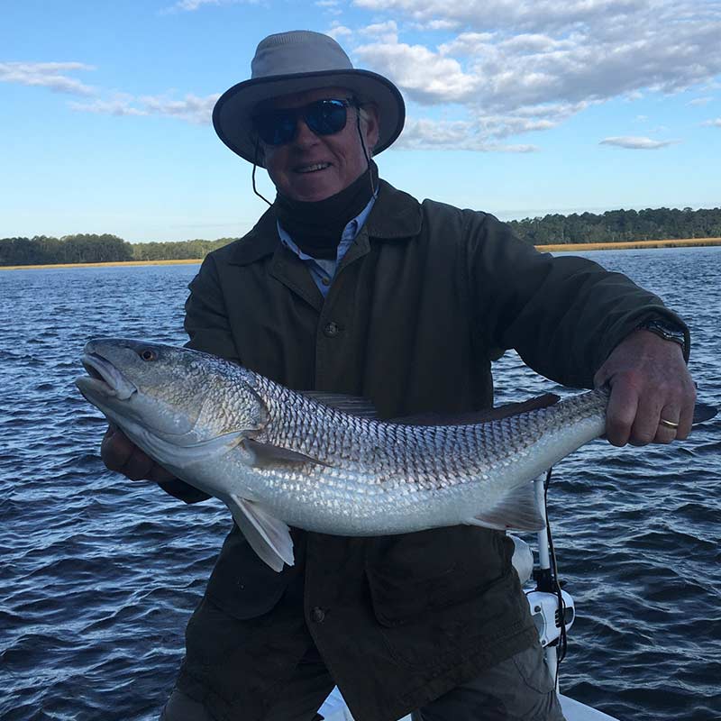 A nice redfish caught this week with Captain Ron Davis, Jr. 