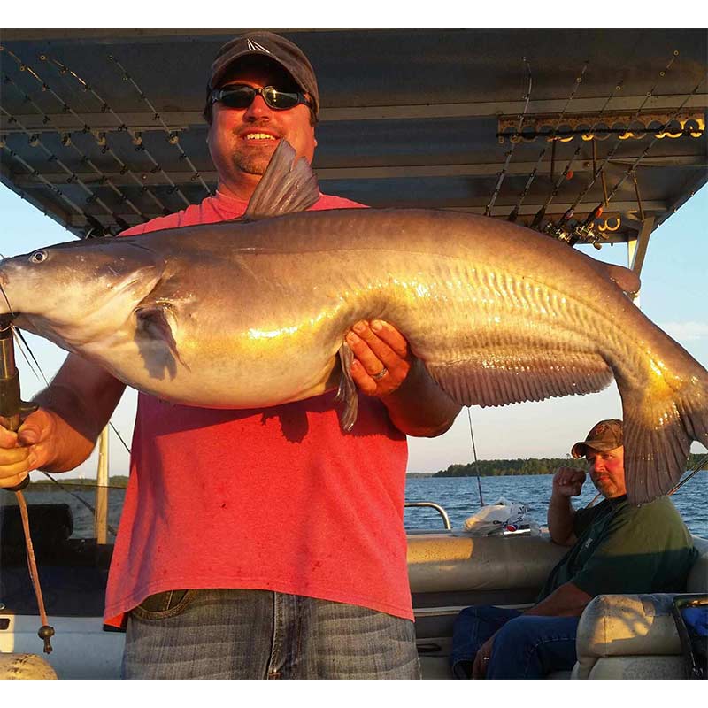 Our old friend Captain Chris Simpson with a big fall catfish caught with Captain William Attaway